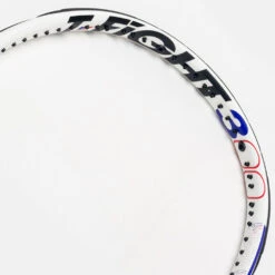 Tecnifibre TFight RS 300 -BROOKS Store 102852 5